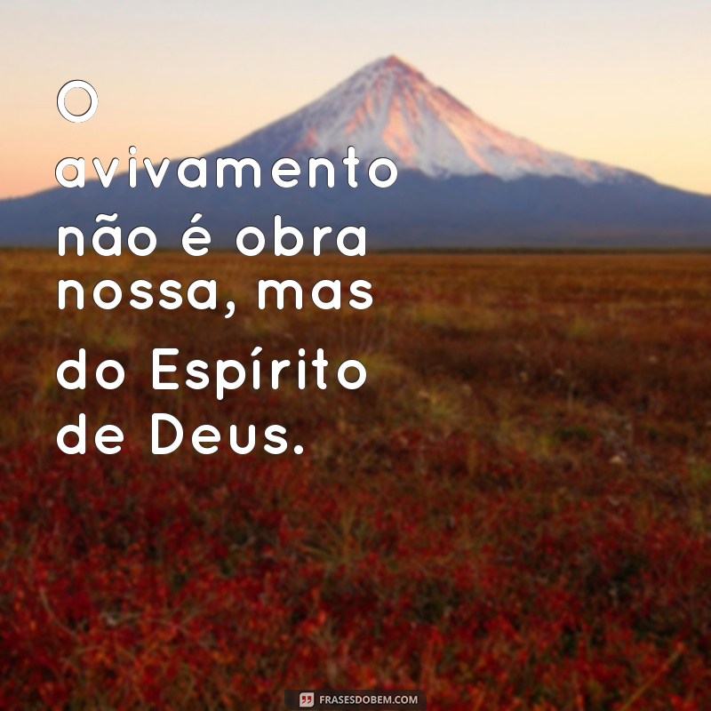 Descubra as melhores frases de avivalistas para inspirar sua fé e transformar sua vida! 