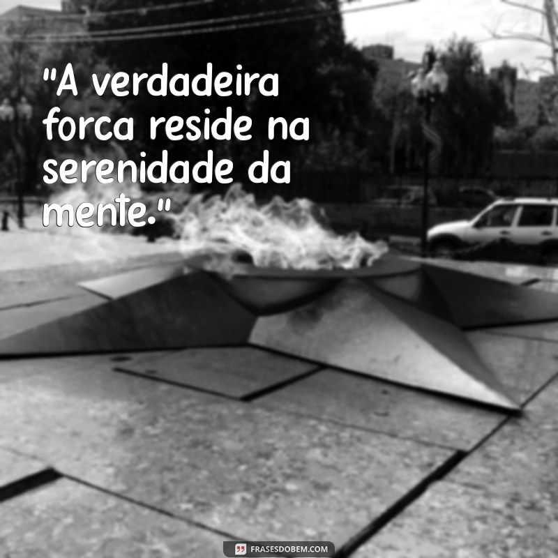 frases de samurais 