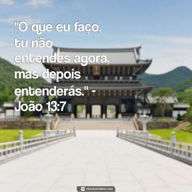 frases versículo do dia reflexão 