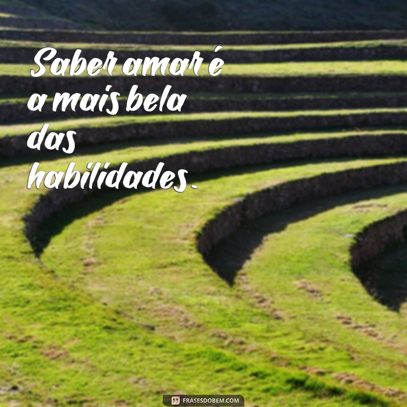 Descubra as mais belas frases para inspirar sua vida - Confira! 