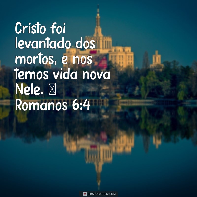 Versículos Inspiradores sobre a Ressurreição de Cristo: Reflexões e Significados 