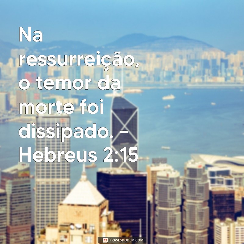 Versículos Inspiradores sobre a Ressurreição de Cristo: Reflexões e Significados 