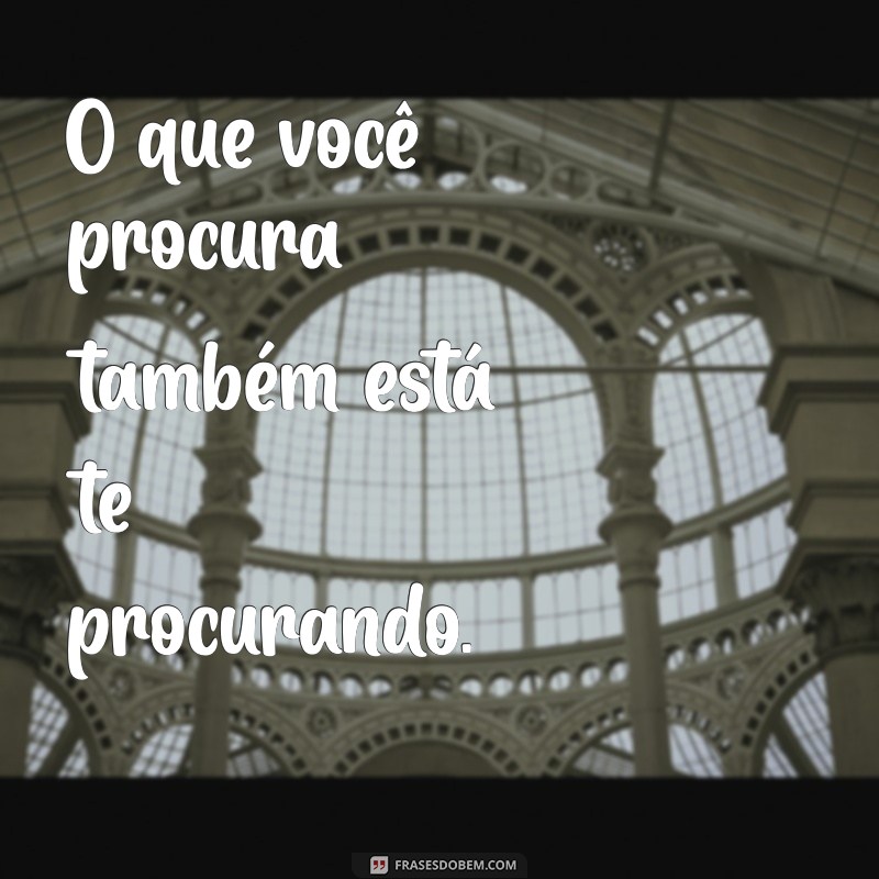 50 Frases Positivas para Transformar Suas Fotos em Inspiração 