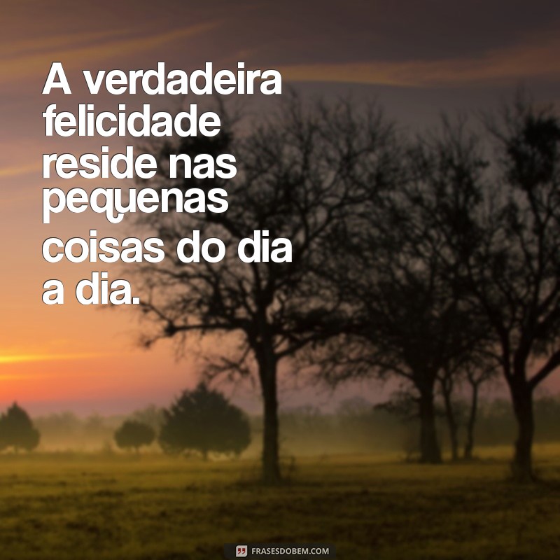 frases sobre felicidade e simplicidade A verdadeira felicidade reside nas pequenas coisas do dia a dia.