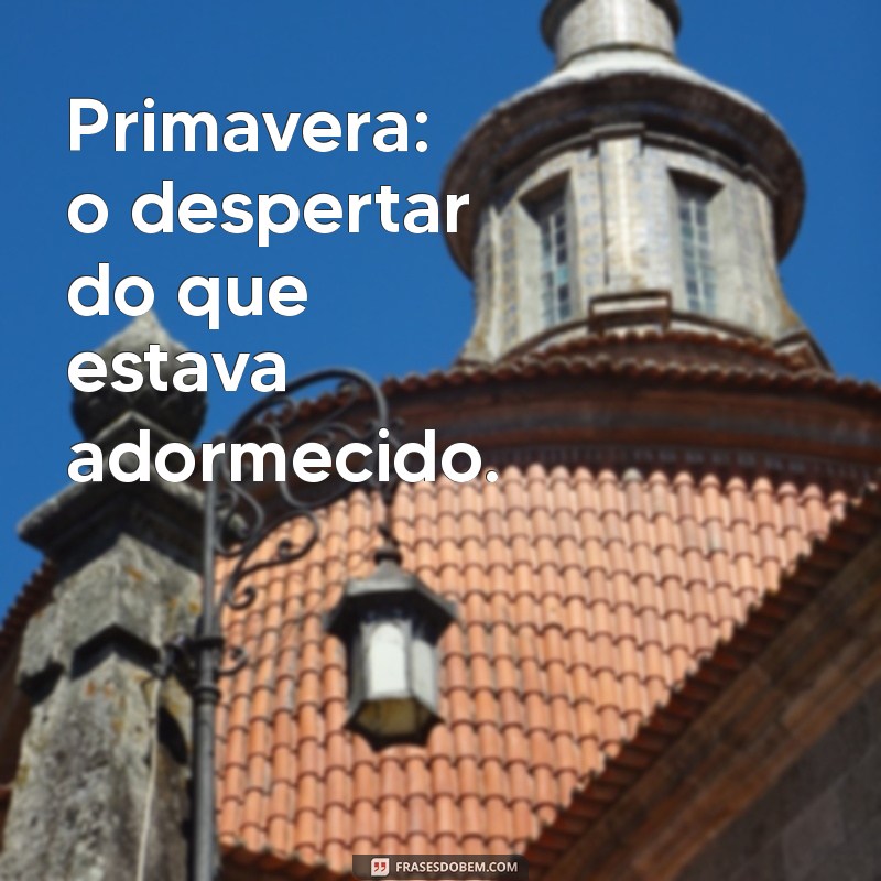 Frases Inspiradoras para Celebrar a Primavera: Renove Seus Pensamentos 