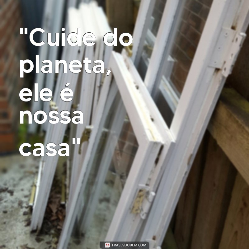 frases cartazes criativos meio ambiente 