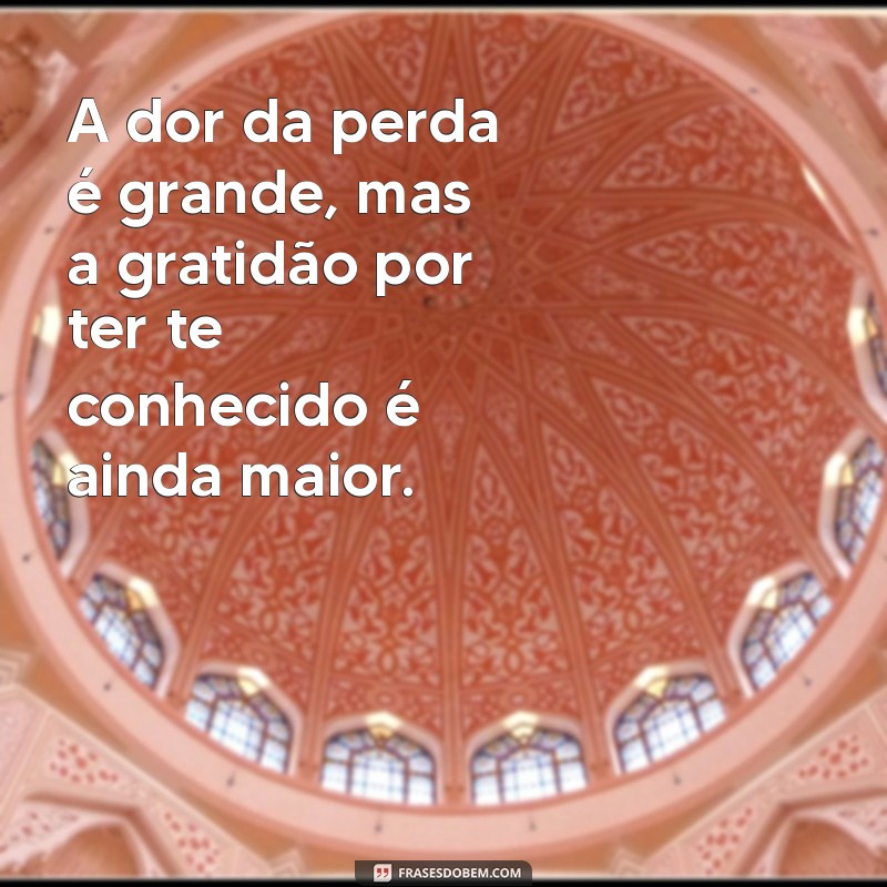 Como Lidar com a Perda de um Cachorro: Mensagens de Conforto e Homenagem 