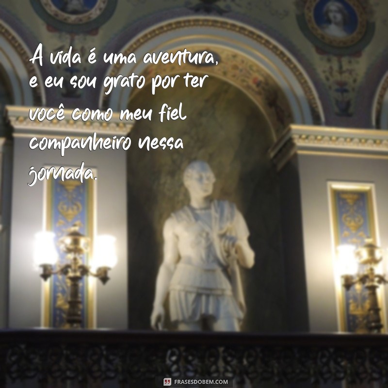 Frases Inspiradoras para Celebrar Amizades Especiais 