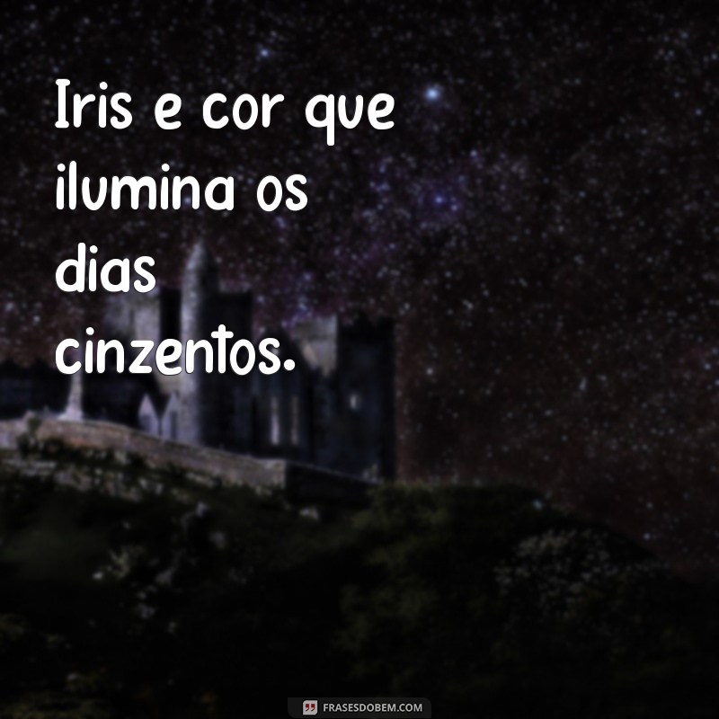 iris é cor Iris é cor que ilumina os dias cinzentos.