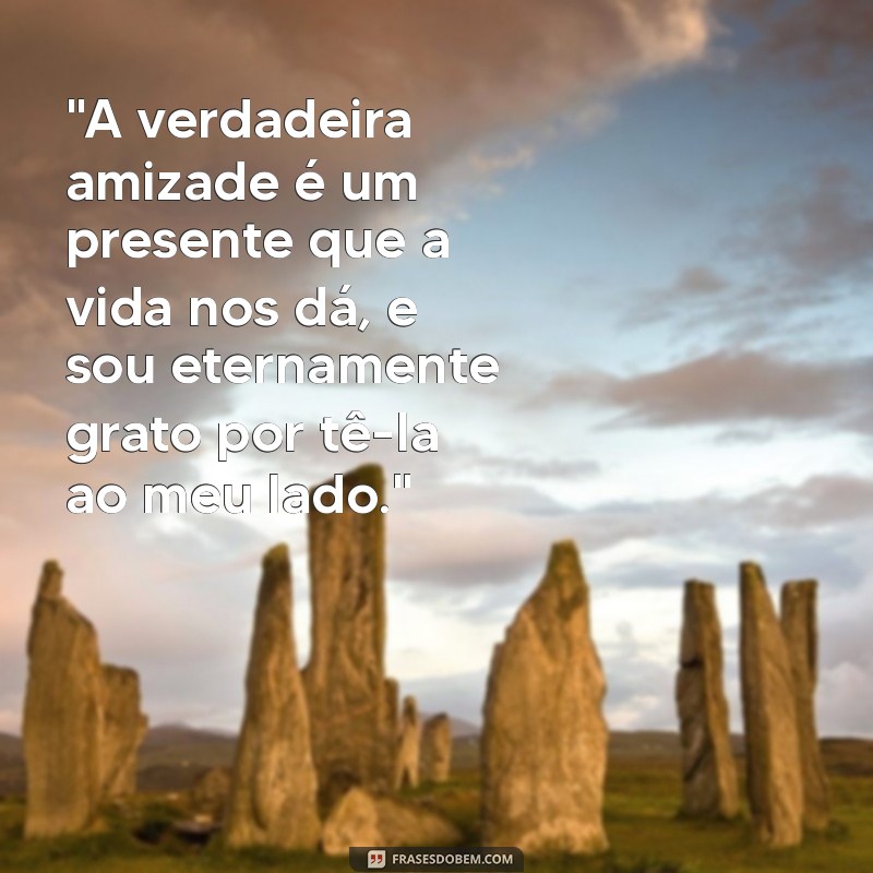 frases de gratidão pela amizade 