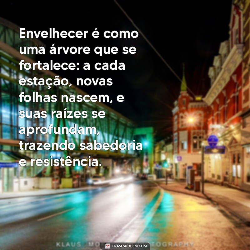 texto lindo sobre envelhecer Envelhecer é como uma árvore que se fortalece: a cada estação, novas folhas nascem, e suas raízes se aprofundam, trazendo sabedoria e resistência.