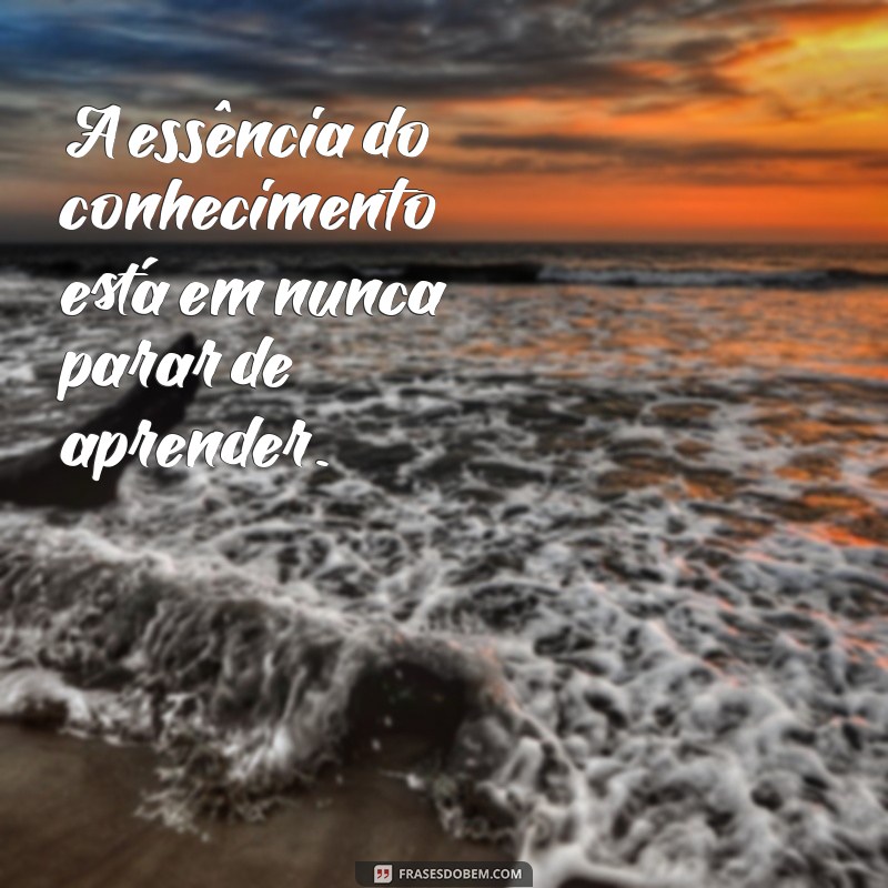 Descubra 20 Frases Inspiradoras que Capturam a Essência da Vida 