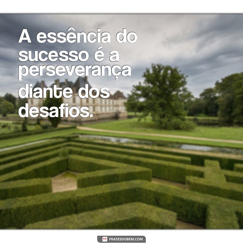 Descubra 20 Frases Inspiradoras que Capturam a Essência da Vida 