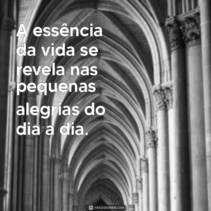 frases com a palavra essência A essência da vida se revela nas pequenas alegrias do dia a dia.