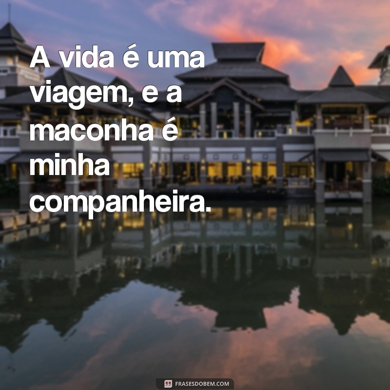 Descubra as melhores frases de maconheira para deixar seu status mais chapado! 