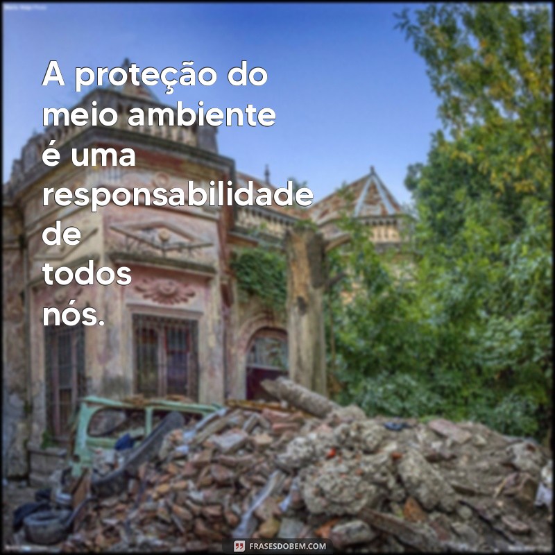 Frases Motivacionais para Inspirar a Preservação do Meio Ambiente 