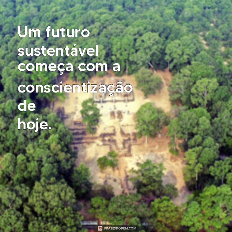 Frases Motivacionais para Inspirar a Preservação do Meio Ambiente 