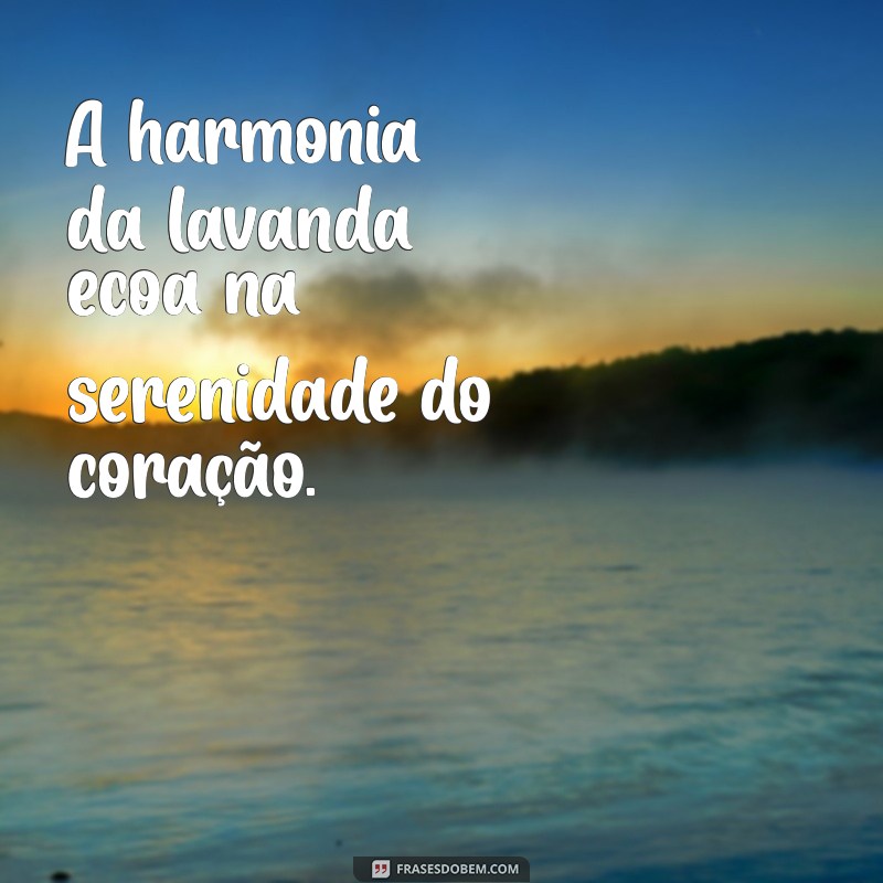 Descubra as Melhores Frases Inspiradoras sobre Lavanda para Acalmar sua Mente 