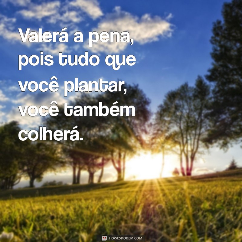 Frases Inspiradoras sobre as Promessas de Deus para Renovar sua Fé 