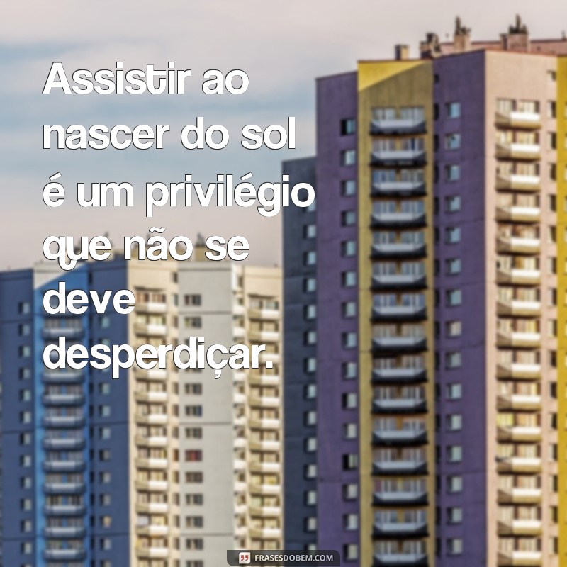 Encante-se com as melhores frases de sol para compartilhar no Tumblr 