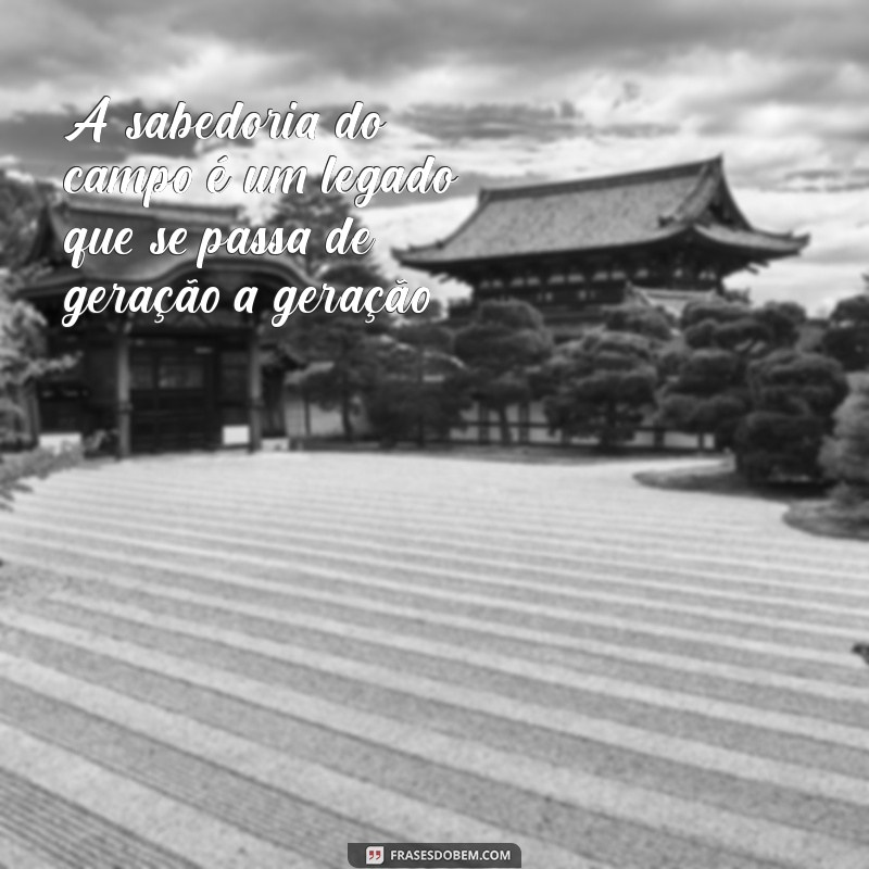 Frases Inspiradoras para Fotos do Agronegócio: Capture a Essência do Campo 