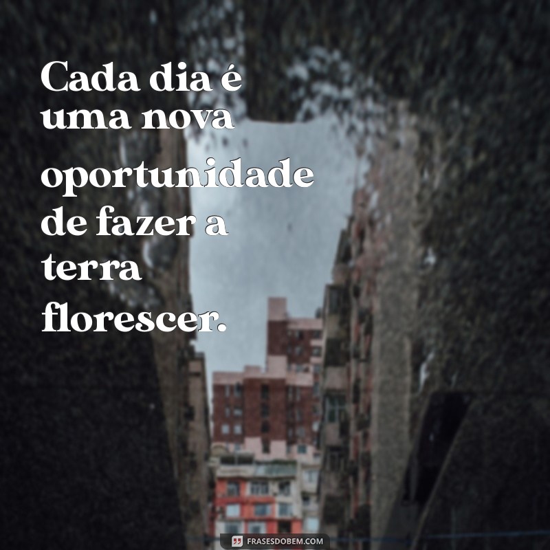 Frases Inspiradoras para Fotos do Agronegócio: Capture a Essência do Campo 