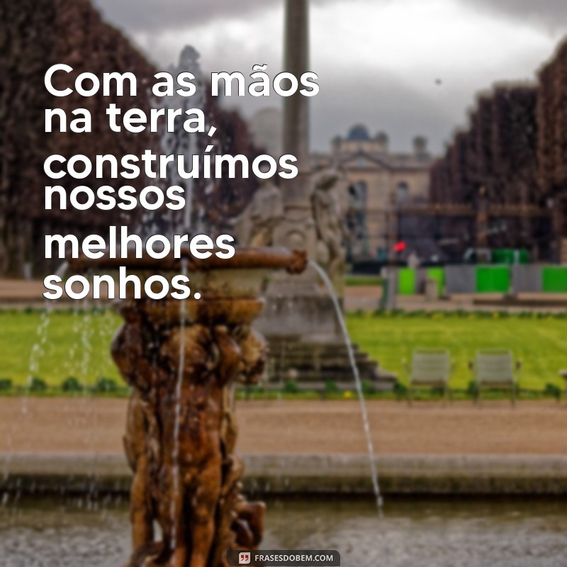 Frases Inspiradoras para Fotos do Agronegócio: Capture a Essência do Campo 