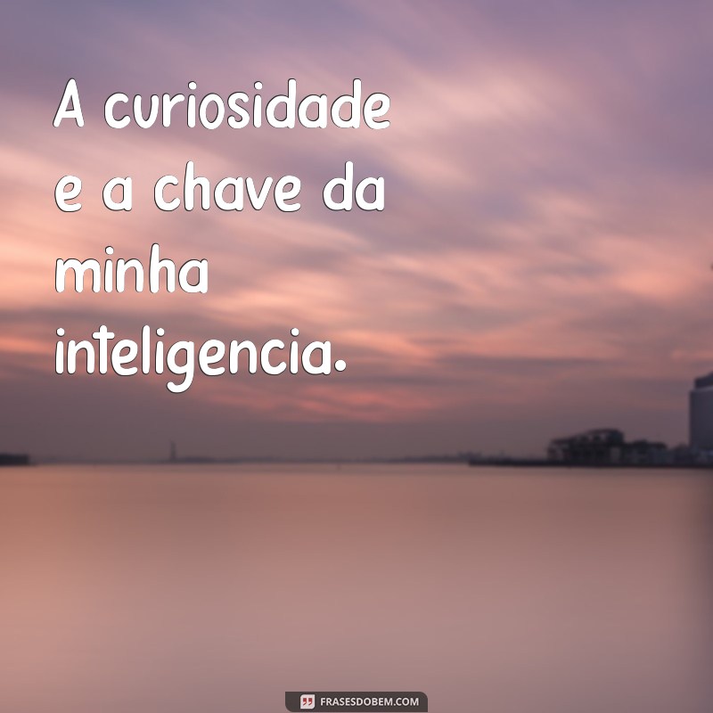 Descubra Como Reconhecer e Potencializar Sua Inteligência 