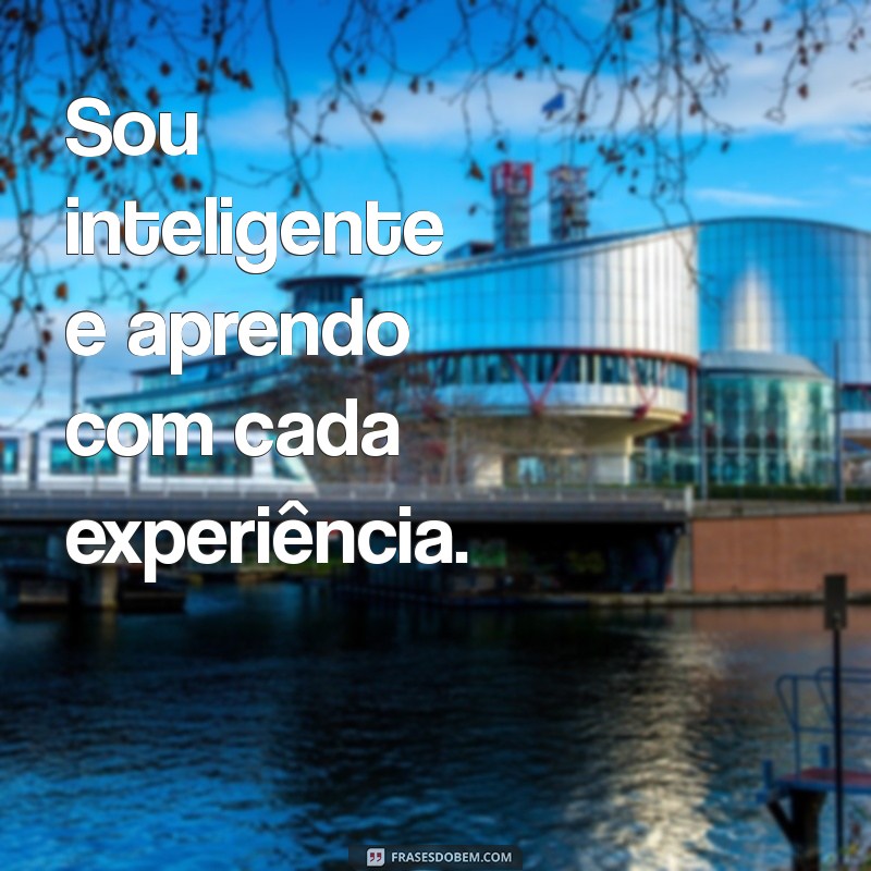 sou inteligente Sou inteligente e aprendo com cada experiência.