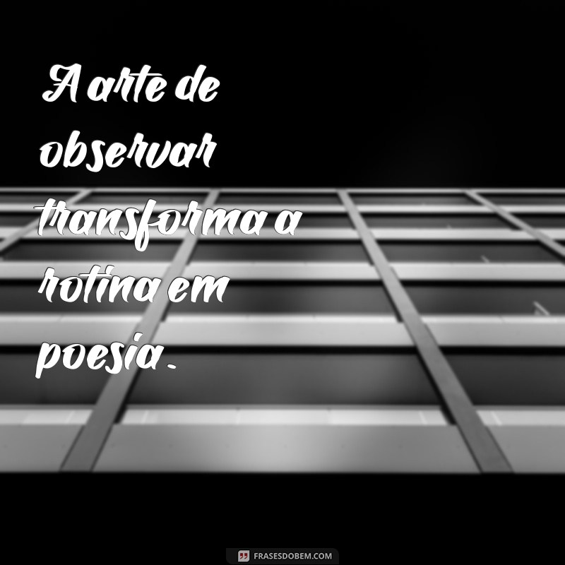 Descubra 20 Frases Inspiradoras sobre a Arte de Observar o Mundo 