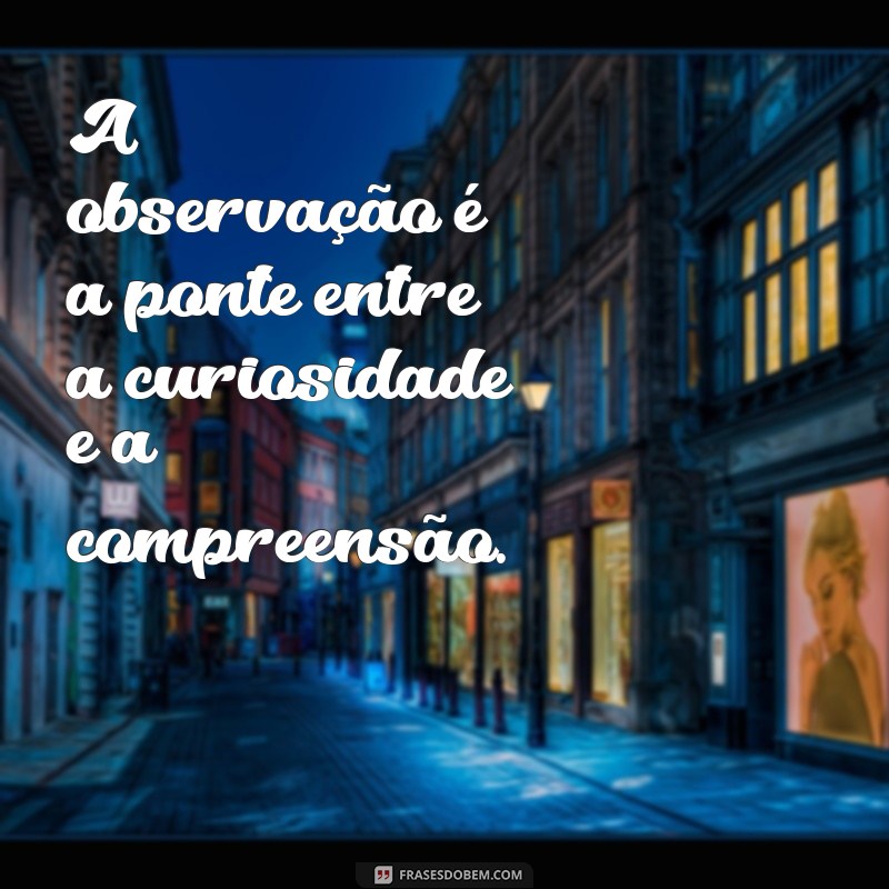 Descubra 20 Frases Inspiradoras sobre a Arte de Observar o Mundo 