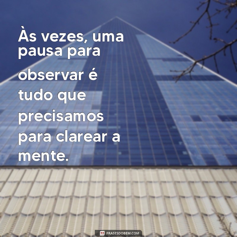 Descubra 20 Frases Inspiradoras sobre a Arte de Observar o Mundo 