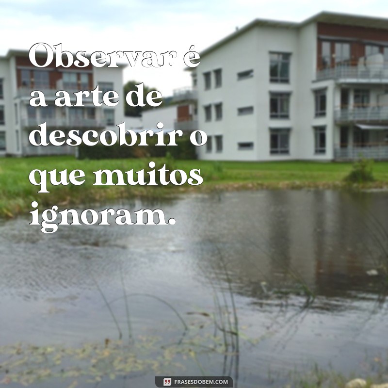 frases sobre observar Observar é a arte de descobrir o que muitos ignoram.