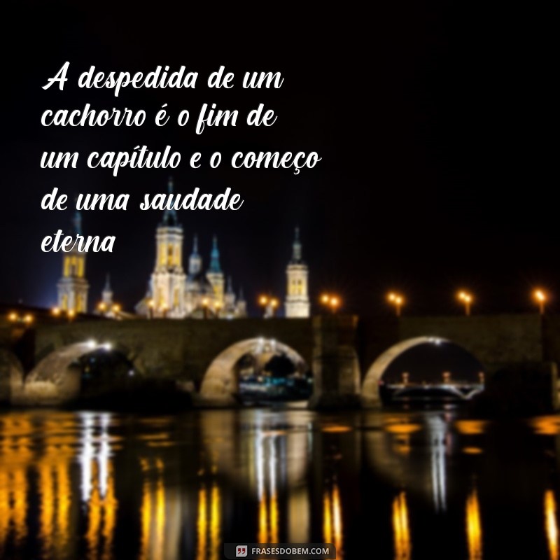 frases morte cachorro A despedida de um cachorro é o fim de um capítulo e o começo de uma saudade eterna.