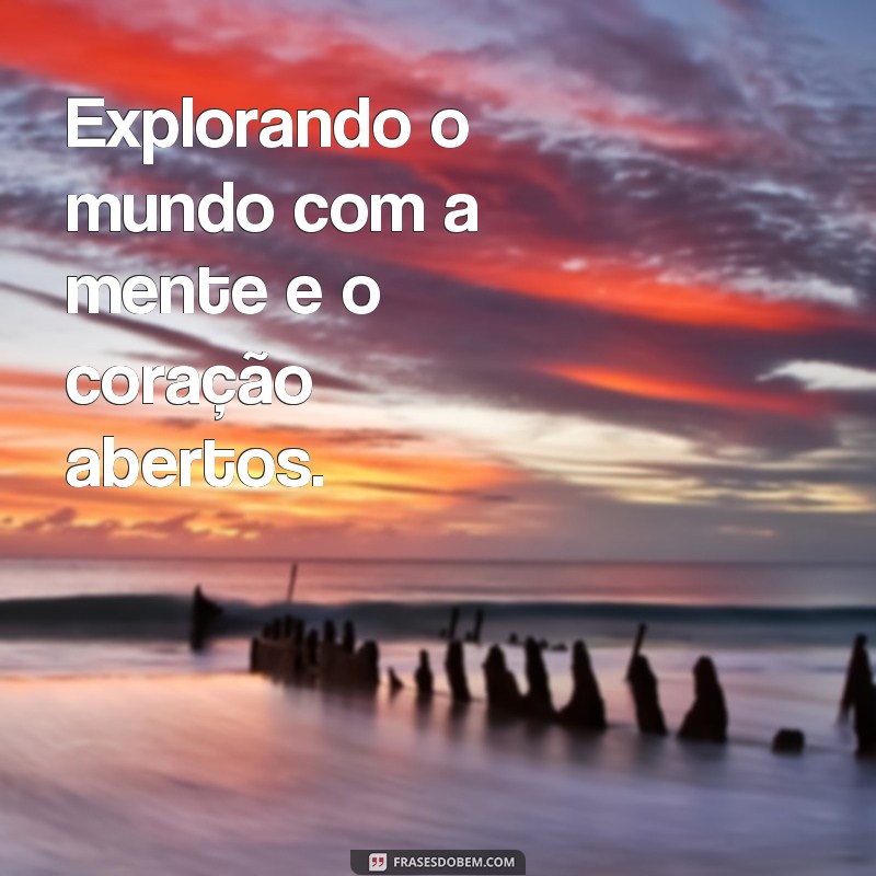 Descubra as melhores frases para destacar na sua biografia 