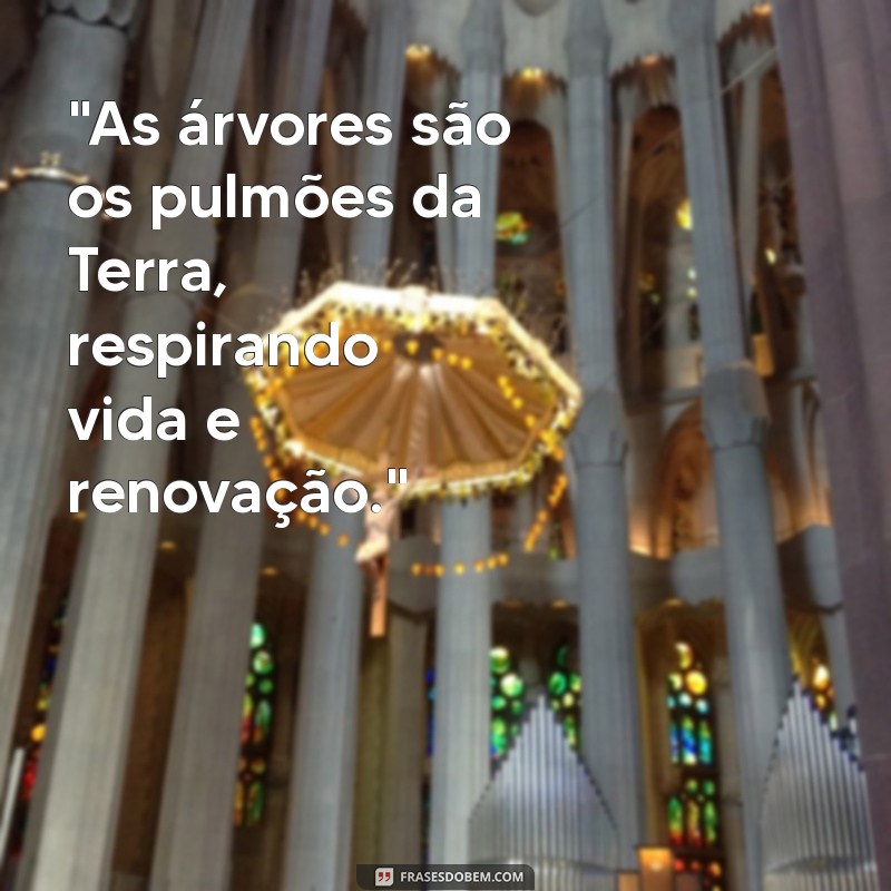 frases sobre arvore 