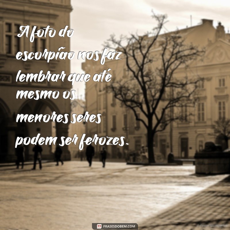 Descubra as melhores frases para legendar suas fotos de escorpião 