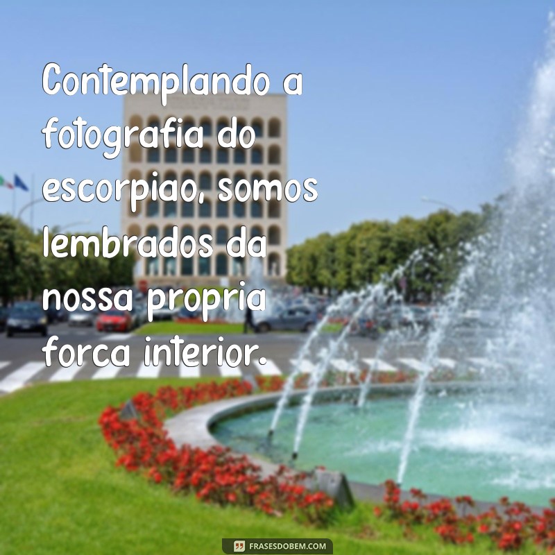 Descubra as melhores frases para legendar suas fotos de escorpião 