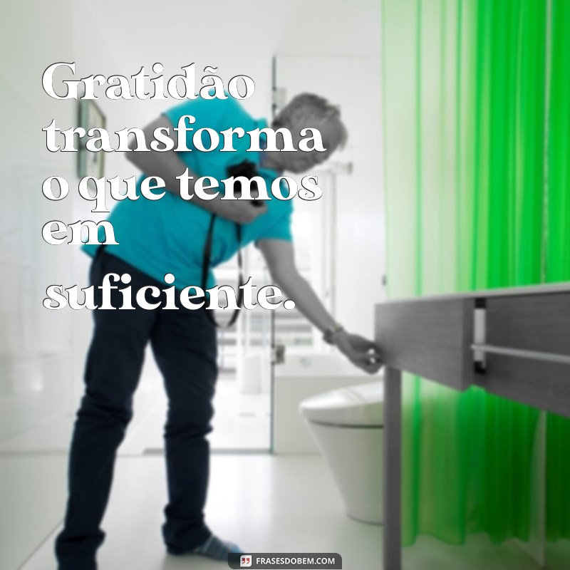 frases de ser grato Gratidão transforma o que temos em suficiente.