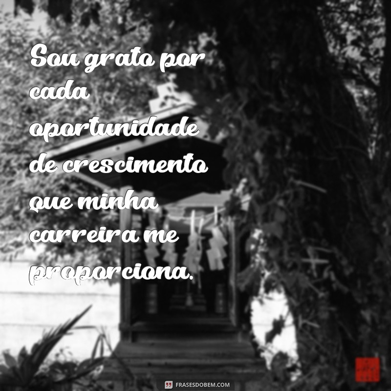 mensagem de gratidão profissional Sou grato por cada oportunidade de crescimento que minha carreira me proporciona.