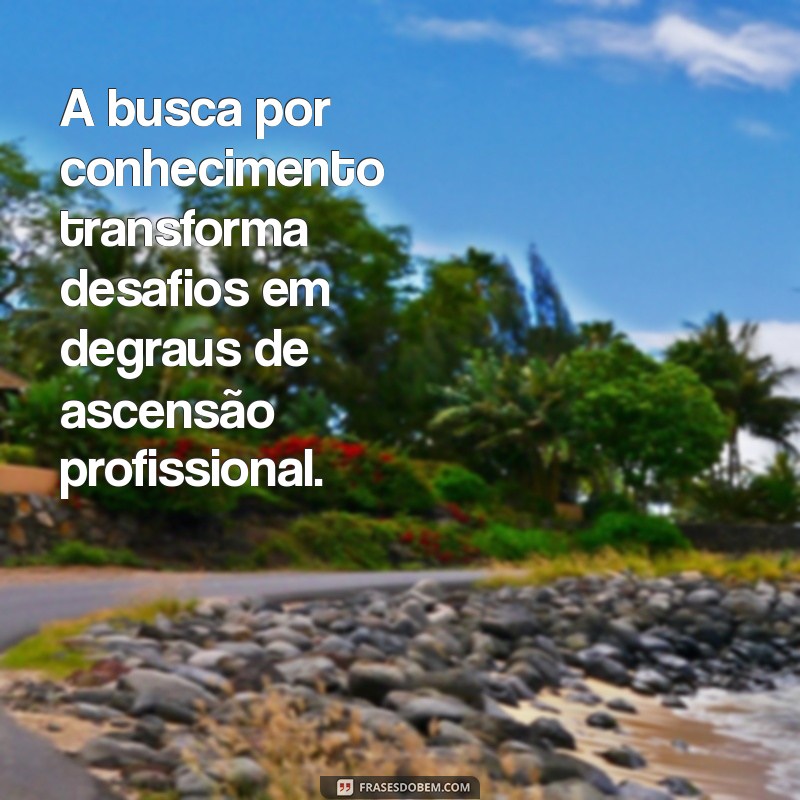 221 Frases Inspiradoras sobre a Importância de Buscar Conhecimento Profissional 