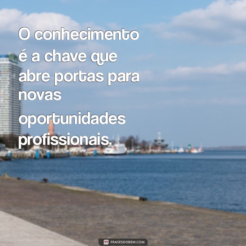 frases sobre buscar conhecimento profissional O conhecimento é a chave que abre portas para novas oportunidades profissionais.