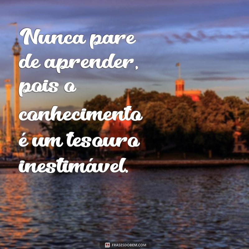 221 Frases Inspiradoras sobre a Importância de Buscar Conhecimento Profissional 