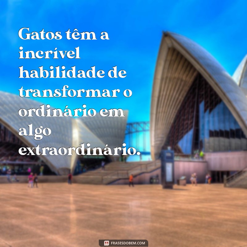 As Melhores Frases sobre Gatos: Encante-se com a Sabedoria dos Felinos 