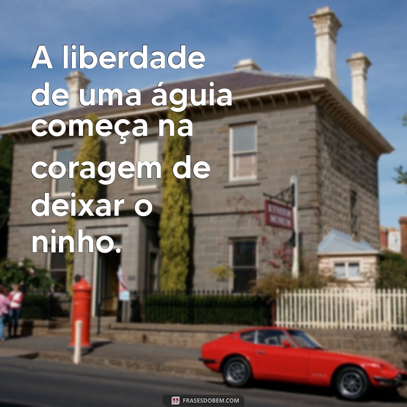 Frases Inspiradoras de Motivação: Aprenda com a Sabedoria das Águias 