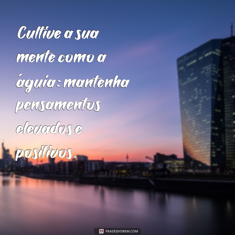 Frases Inspiradoras de Motivação: Aprenda com a Sabedoria das Águias 