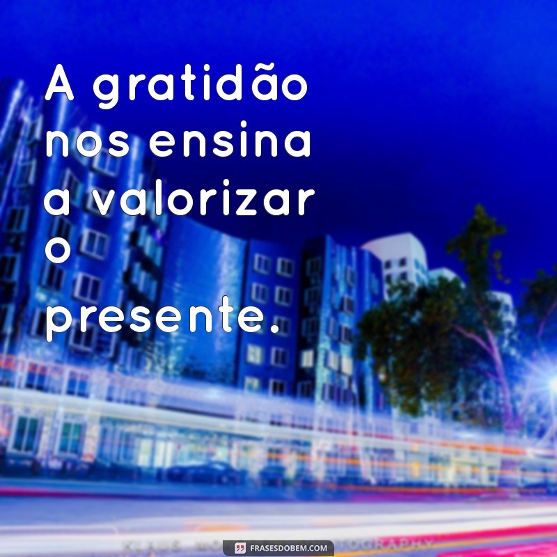 Os Benefícios de Agradecer Sempre: Como a Gratidão Transforma a Sua Vida 