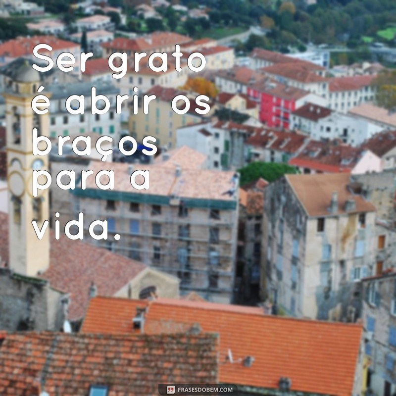 Os Benefícios de Agradecer Sempre: Como a Gratidão Transforma a Sua Vida 