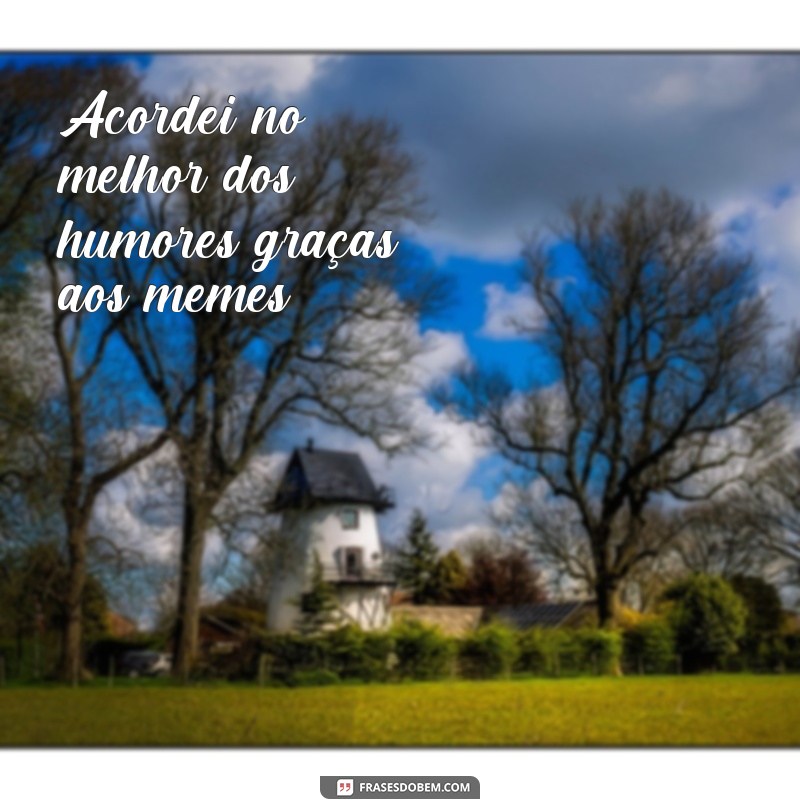 Descubra as melhores frases do meme Acordei e já quero dormir de novo para se divertir e compartilhar! 