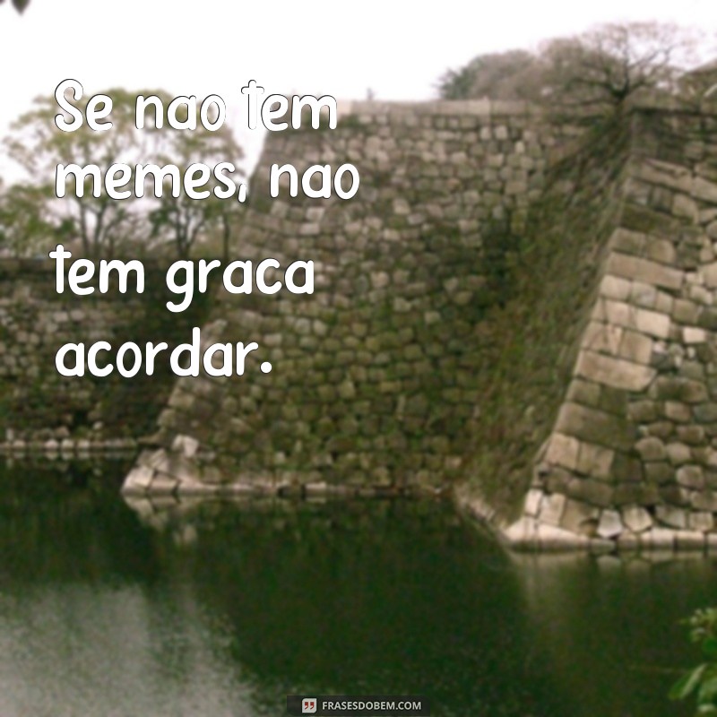 Descubra as melhores frases do meme Acordei e já quero dormir de novo para se divertir e compartilhar! 